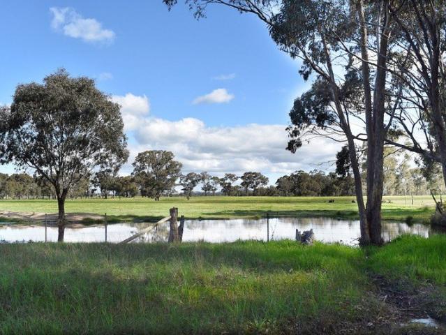 Magnificent Rural Blocks | 5km from Avoca