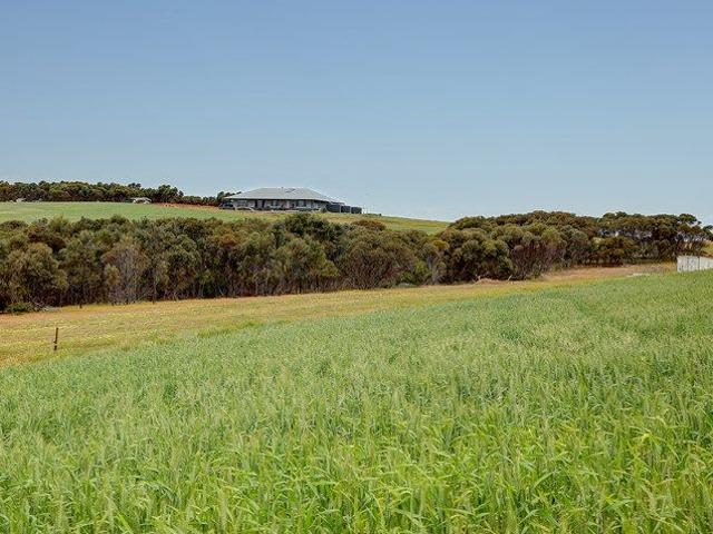 Magnificent Rural Lifestyle Retreat with Productive Land
