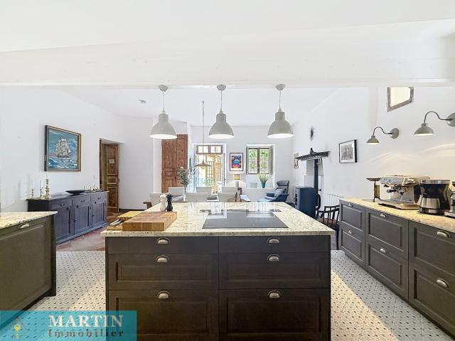 Magnifique Maison de Maître entièrement rénovée avec jardin 372m² Céret