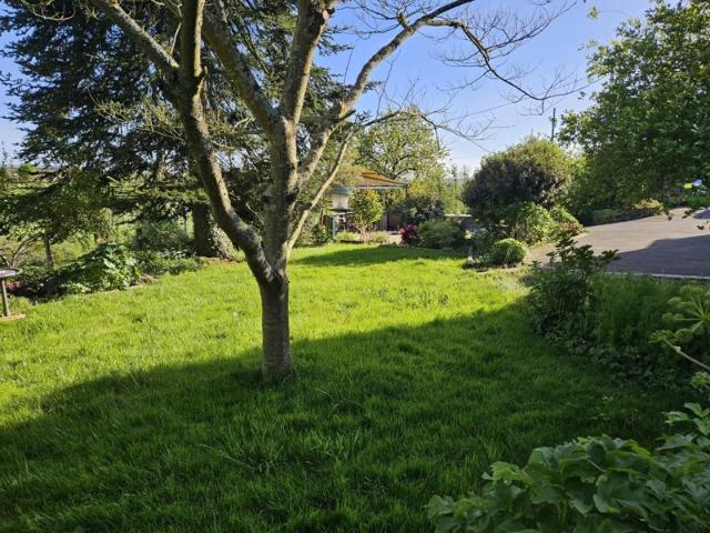 Magnifique maison normande en pierre avec dépendances sur un terrain arboré de plus de 8 000 m²