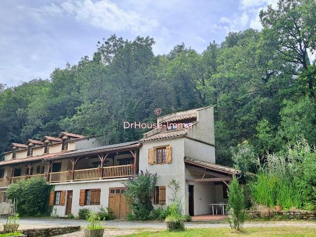 MAGNIFIQUE MOULIN EN PIERRE ET SON GÎTE SÉPARÉ AVEC PISCINE SUR ENVIRON 9 HA