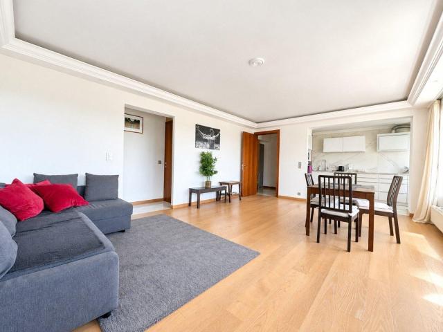 Magnifique Appart 2ch 13 et 16,5m² meublé + terrasse et c