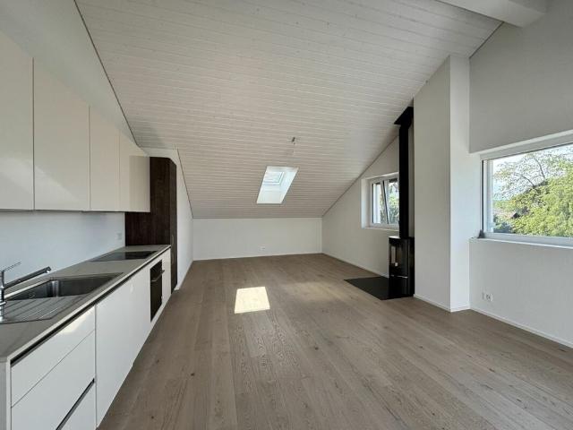 Magnifique appartement neuf, en attique avec vue lac