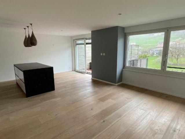 Magnifique appartement avec terrasse