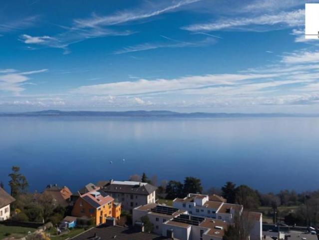 Magnifique appartement avec vue sur le lac et les alpes