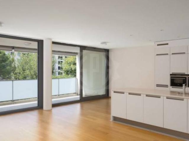 Magnifique appartement Carouge GE