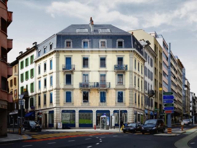 Magnifique appartement de caractère au cœur de Genève