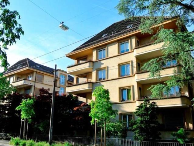 Magnifique appartement de 1.5 Profitez d'un mois gratuit