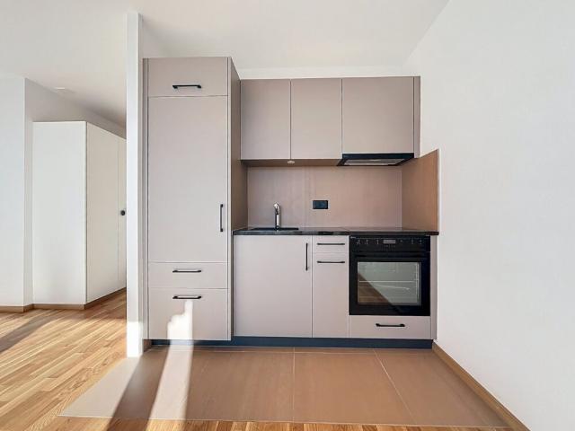 Magnifique appartement de 1 pièce entièrement rénové