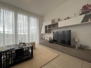 Magnifique appartement de 3.5p/2 chb/1sdb/1 balcon/1 terrasse