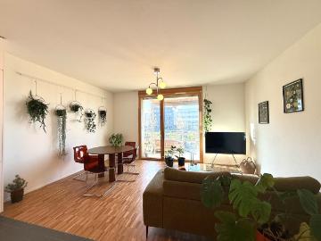 Crissier, District de l'Ouest lausannois, Waadt