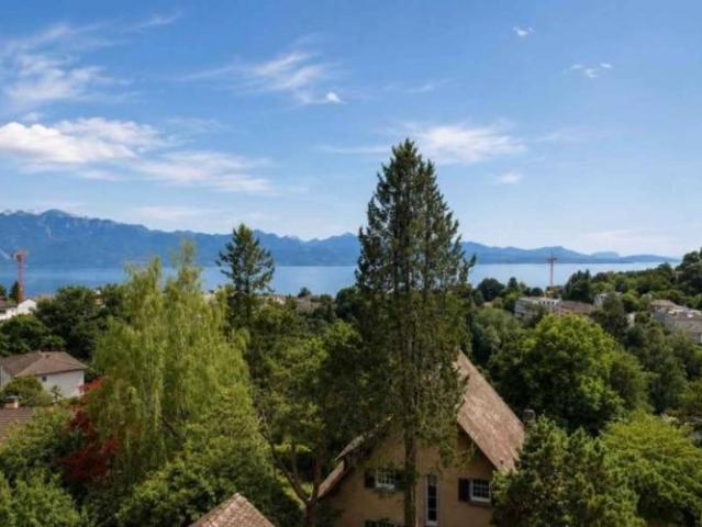 Magnifique appartement en duplex entièrement rénové avec vue imprenable sur le lac