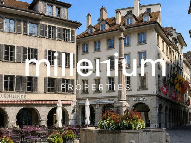 Magnifique appartement en Veille Ville