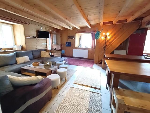 Magnifique appartement /gîte au pied des piste de ski ! Dans l