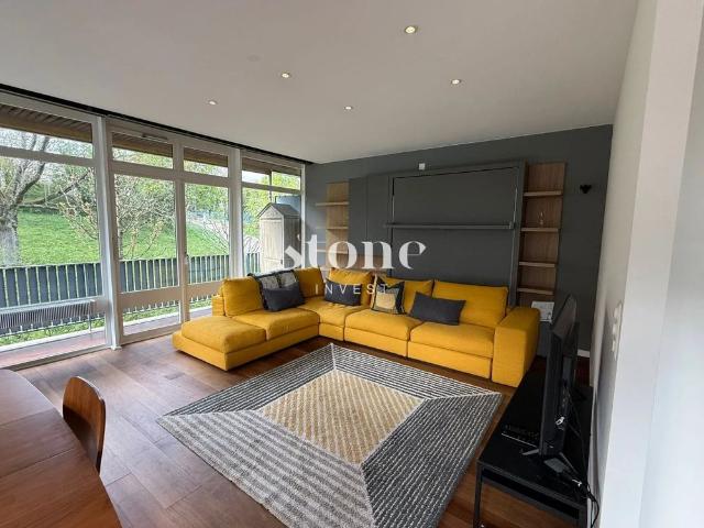 Magnifique appartement lumineux meublé récemment rénové de 58 m2 et 24 m2 de terrasse avec vue dégagée sur le parc