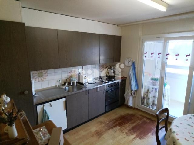 RENOVE Magnifique appartement lumineux de 2.5 pièces.