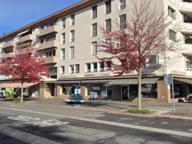 Magnifique appartement rénové au centre ville, proche des écoles et des commerces