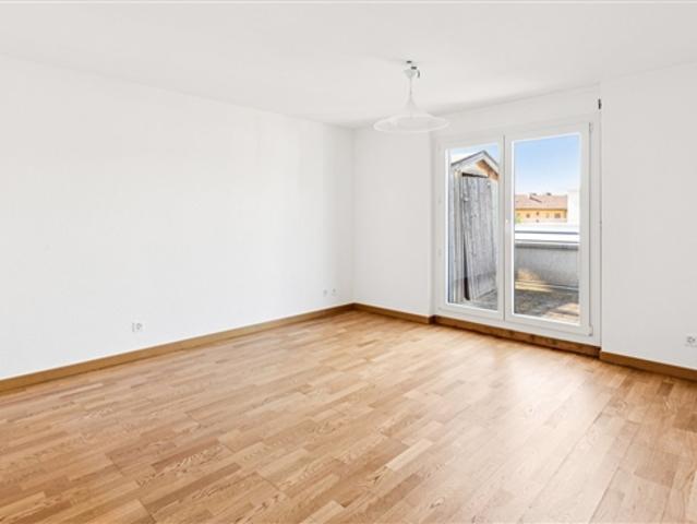 Magnifique appartement rénové de 5,5 pièces avec grande terrasse et vue dégagée à Bienne