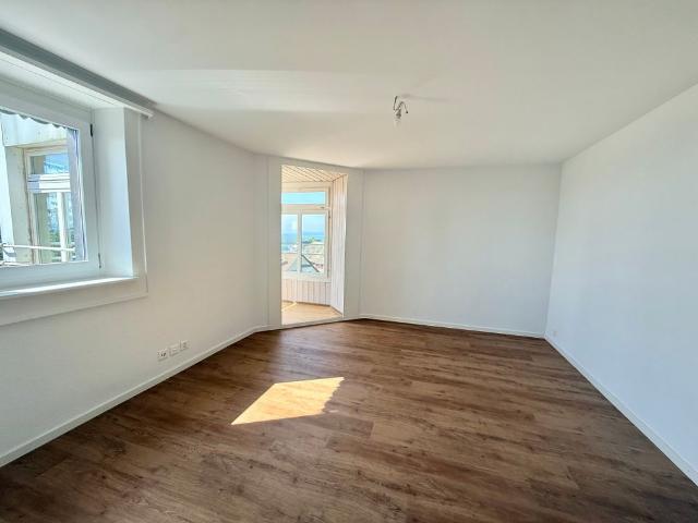 Magnifique appartement 2.5 pièces entièrement rénové – cadre moderne avec vue dégagée