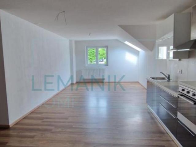 Magnifique appartement 4,5 pièces entièrement rénové