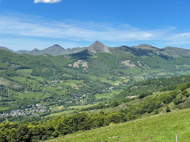 MAGNIFIQUE BURON