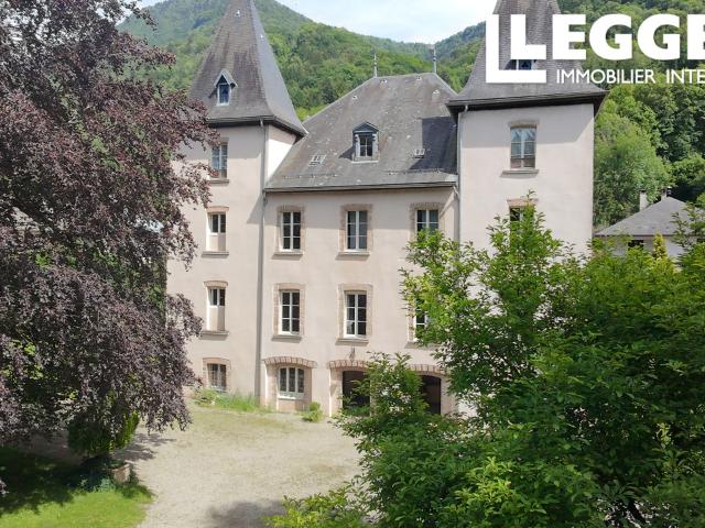 Magnifique château à vendre près d'Albertville, avec 4000 m² de terrain constructible et un parc de 4 hectares