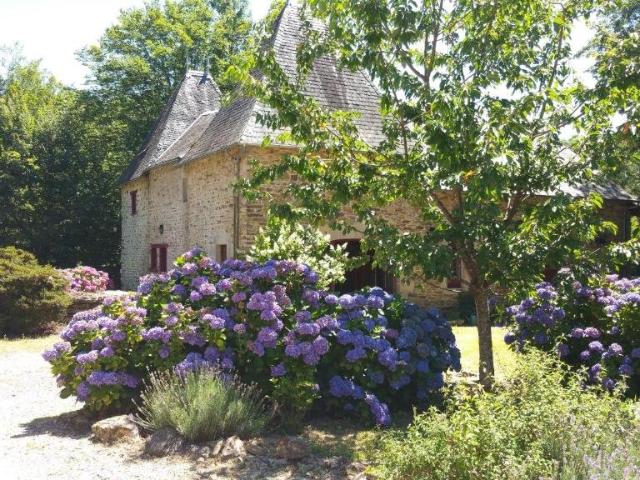 Magnifique château restauré du XIVe siècle à Lagraulière Un joyau historique au coeur de la Corrèze