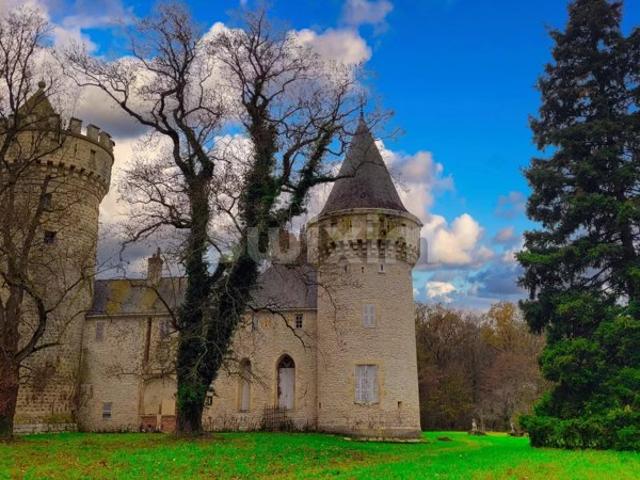 Magnifique Château XIIè XIVè siècle dans le Berry