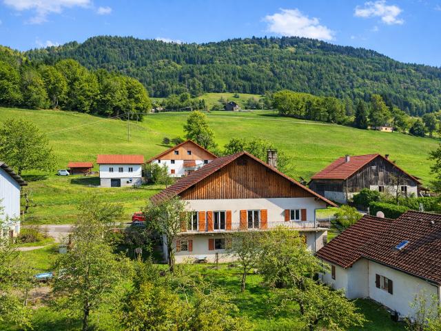 MAGNIFIQUE CORPS DE FERME A VIUZ EN SALLAZ DIVISE EN TROIS APPARTEMENTS ET GRANGE