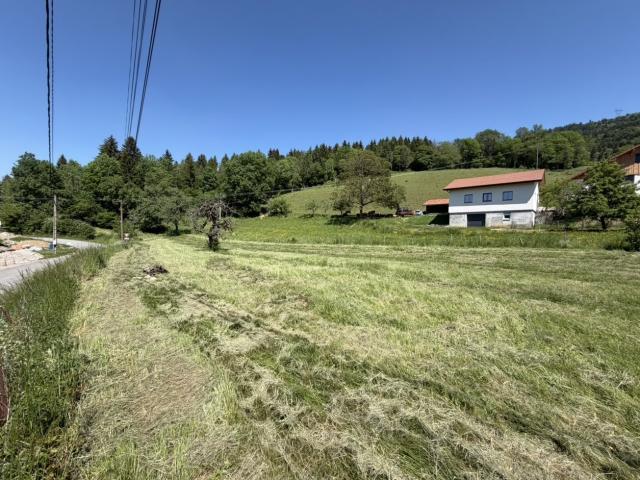 MAGNIFIQUE CORPS DE FERME A VIUZ EN SALLAZ DIVISE EN TROIS APPARTEMENTS ET GRANGE