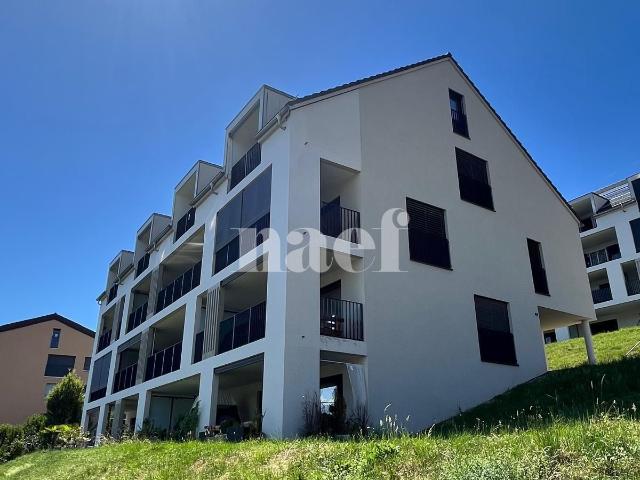 Magnifique duplex