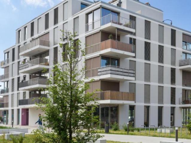 Magnifique duplex à Ecublens !