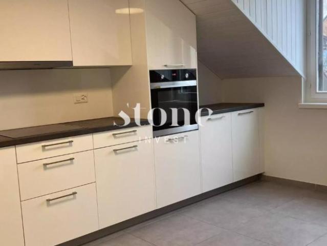 Magnifique DUPLEX au 3éme étage à Carouge