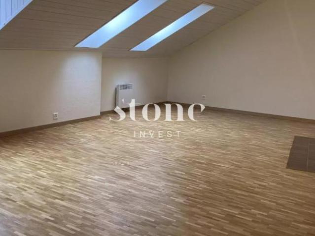 Magnifique DUPLEX au 3éme étage à Carouge