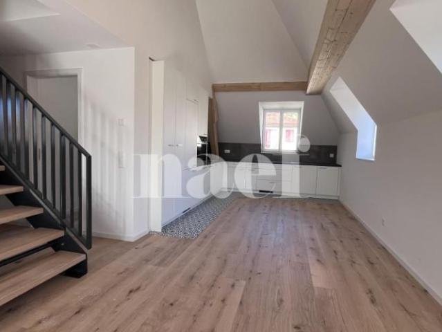 Magnifique duplex de 4,5 pièces au 4ème étage Est