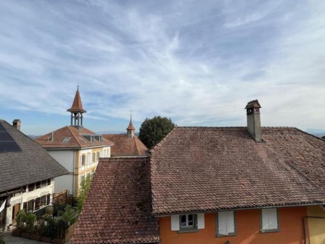 MAGNIFIQUE DUPLEX EN ATTIQUE