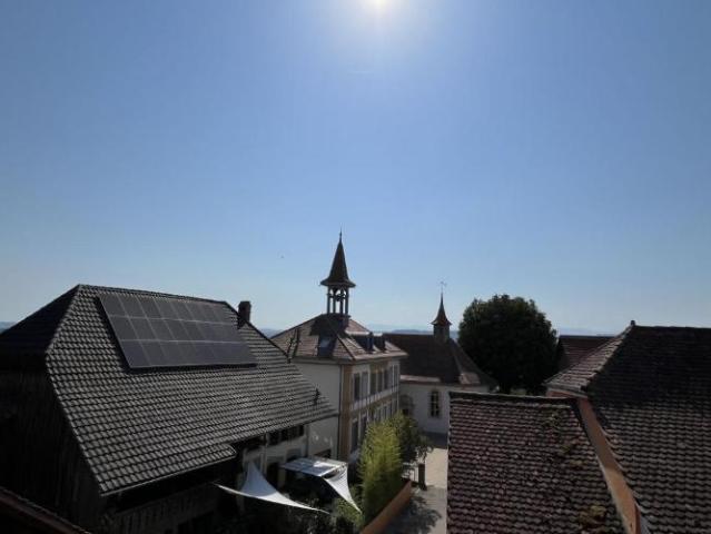 MAGNIFIQUE DUPLEX EN ATTIQUE