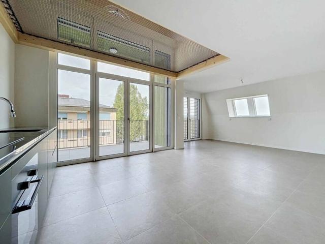 Magnifique duplex neuf de 4.5 pièces