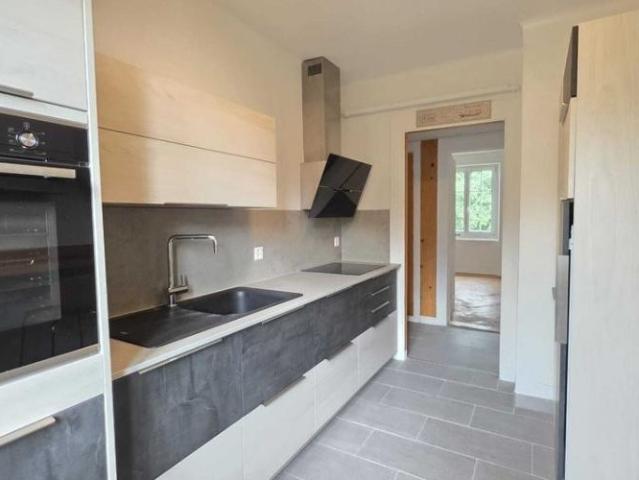 MAGNIFIQUE LOGEMENT A LOUER ENTIEREMENT RENOVE