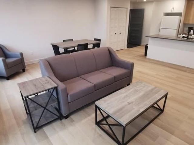 Magnifique Logement 4 1/2 et 5 1/2