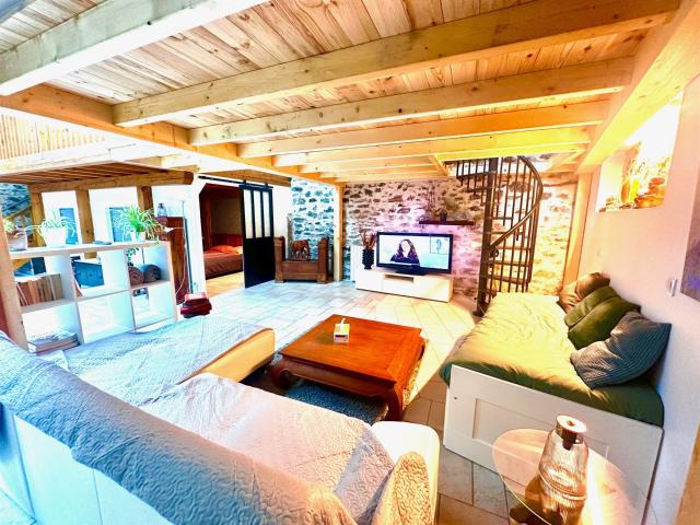 Magnifique loft, rénové avec goût + commerce avec vitrine 230m² Lourdes