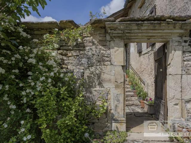 Magnifique propriété composé de quatre gîtes autour d'une co. 631m² Castanet