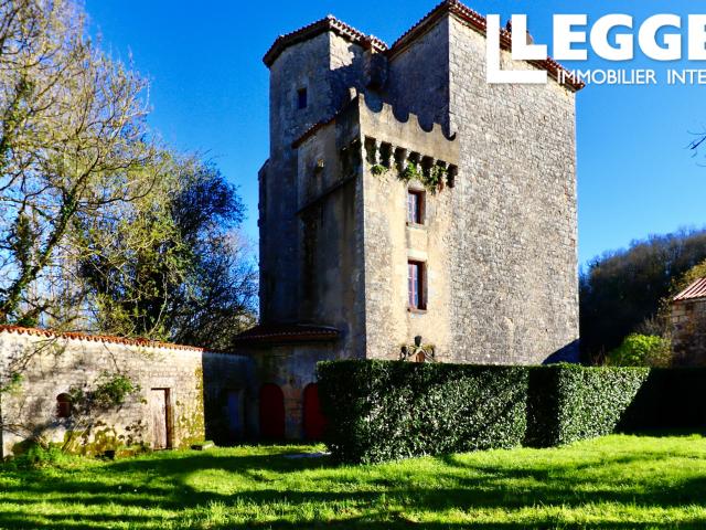 Magnifique propriété médiévale avec donjon rénové, grandes dépendances et terrain attenant  endroit calme