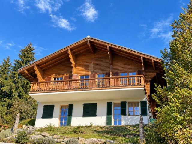 MAGNIFIQUE, RÉNOVÉ AU COEUR DES MONTAGNES