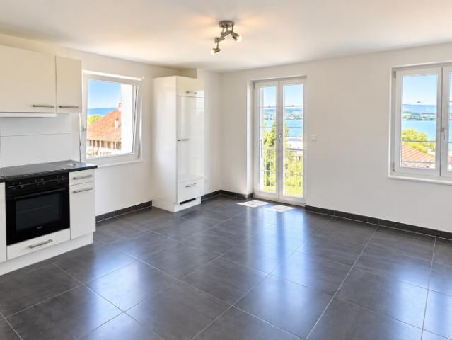 Magnifique studio avec vue sur le lac !