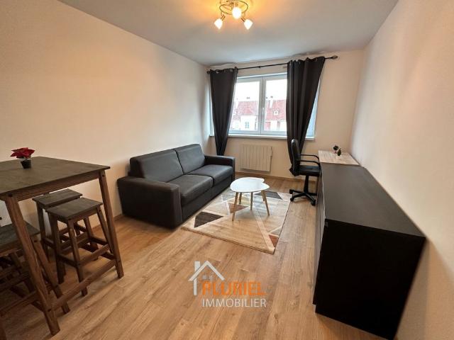 Magnifique Studio meublé 24,08m² Quartier Forêt Noire / Esplanade