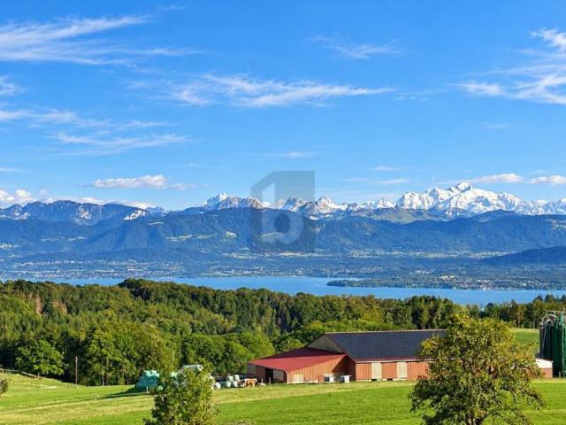 MAGNIFIQUE SPACIEUX ET VUE PANORAMIQUE SUR LE LAC