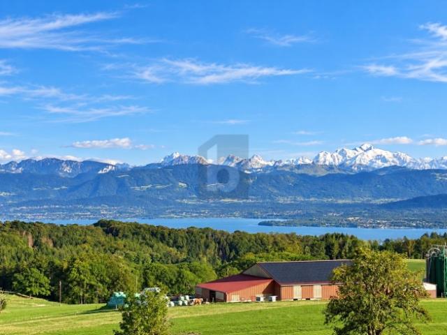 MAGNIFIQUE SPACIEUX ET VUE PANORAMIQUE SUR LE LAC