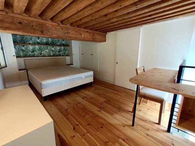 Magnifique T1 Duplex meublé Croix Rousse