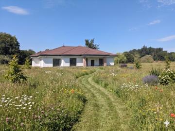 Magnifique villa en pleine nature à Damphreux Lugnez ! 2 options possibles !